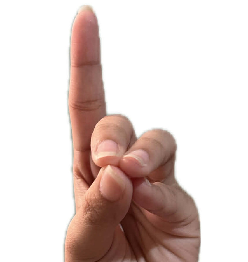 ASL Letter D
