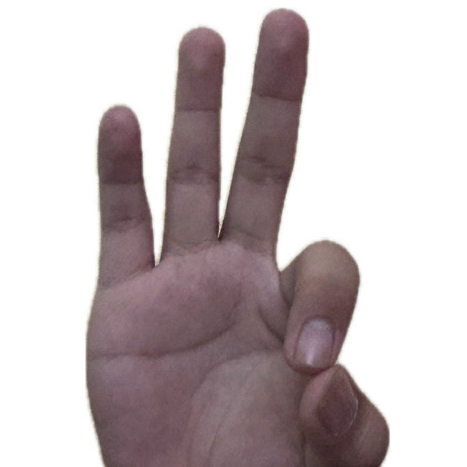ASL Letter F
