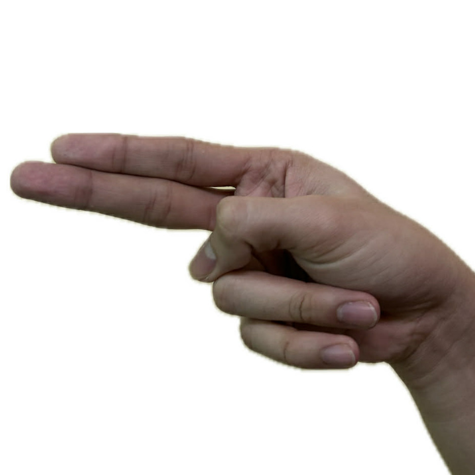 ASL Letter H