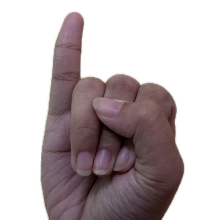 ASL Letter I