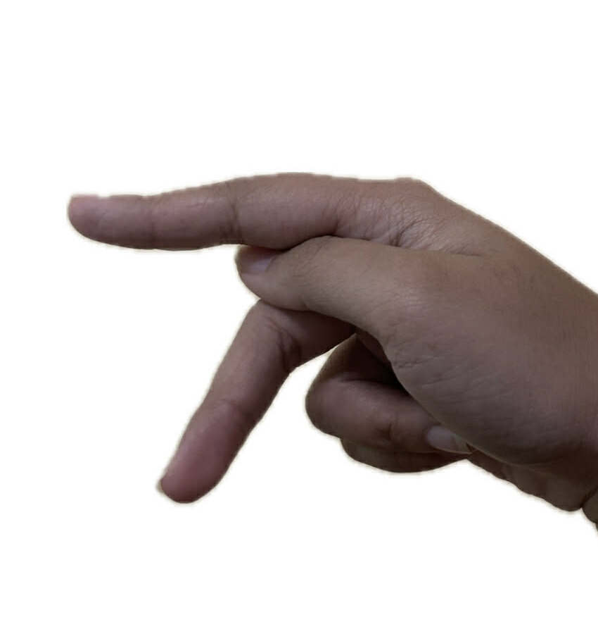ASL Letter P