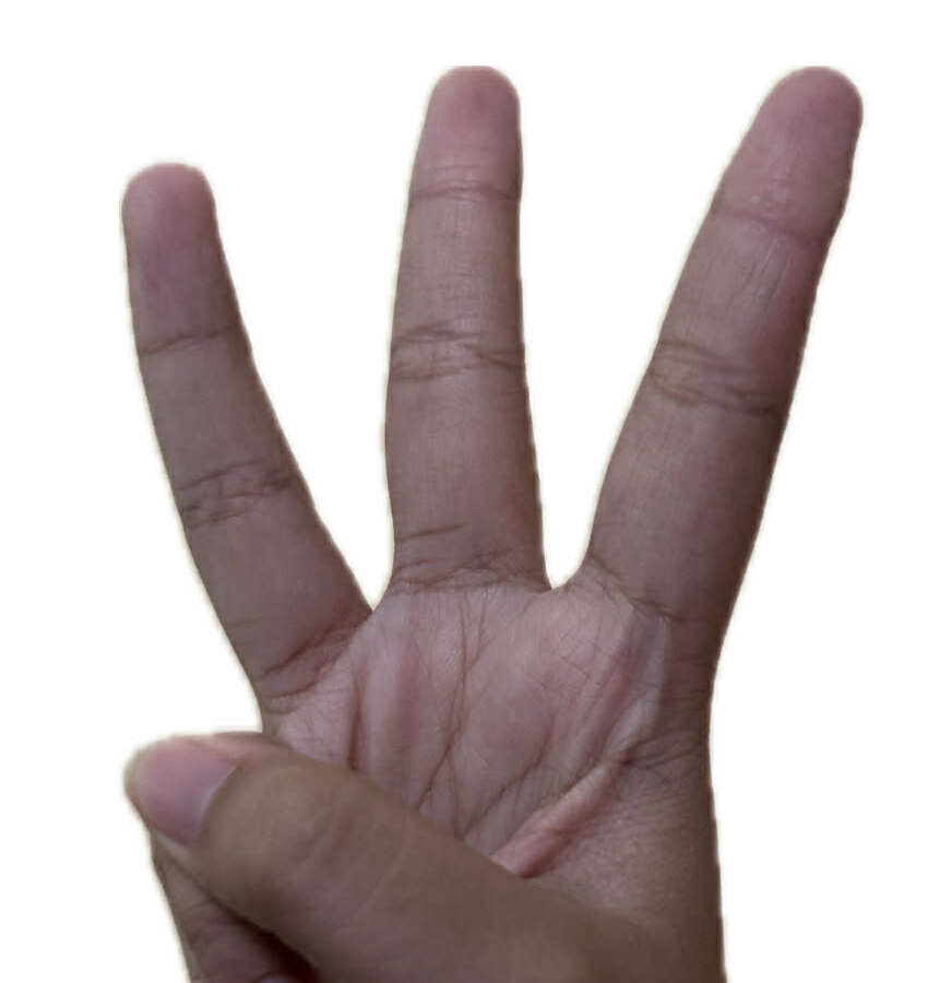 ASL Letter W